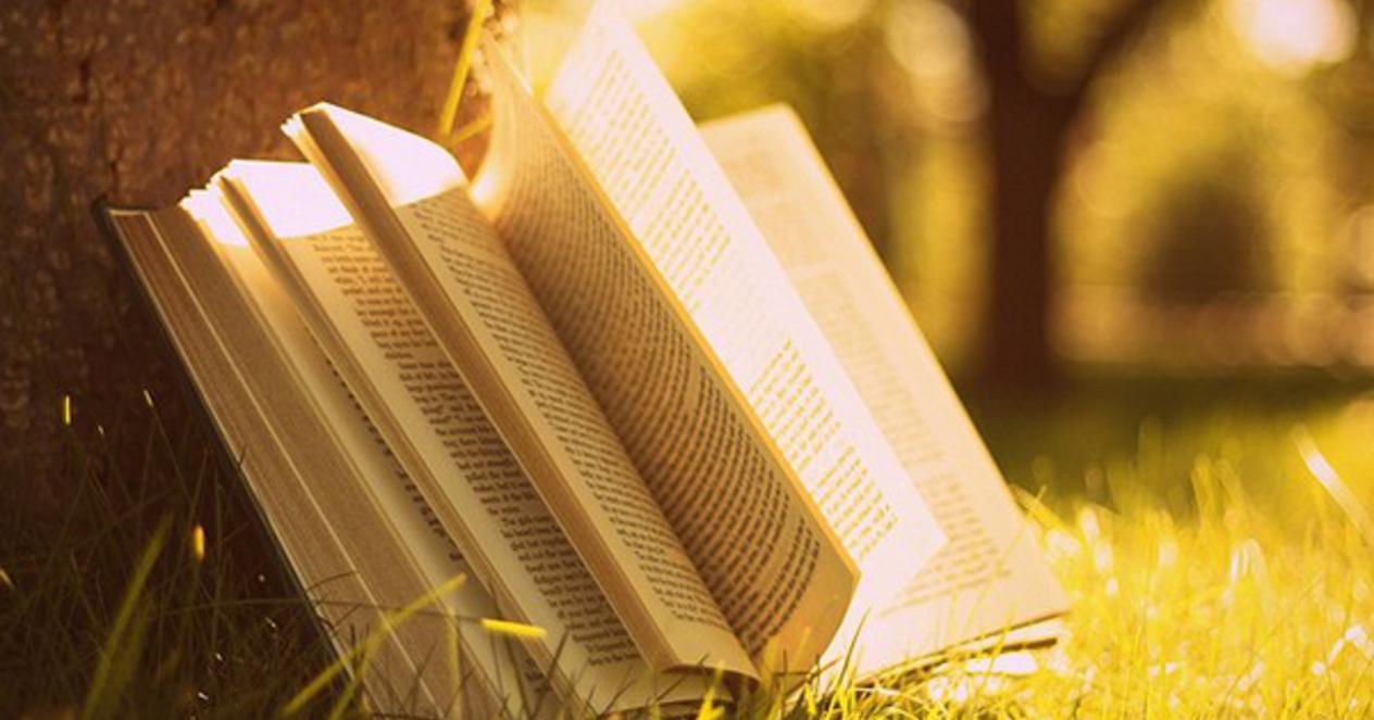 #КНИГОЛЕТО #КНИГОЛЕТО