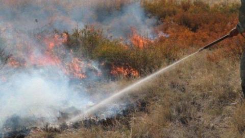 На востоке Оренбуржья ликвидировали все ландшафтные пожары