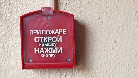 ТЦ «Строй Сити» в Оренбурге закрыли на 30 дней