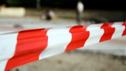 В Оренбурге в лесополосе обнаружены скелетированные останки человека