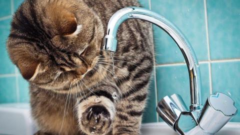 Где в Оренбурге отключат холодную воду 23 октября