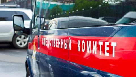 Жительницу Новотроицка обвиняют в убийстве сожителя сестры 