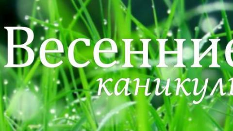 Оренбургские школьники уходят на каникулы 