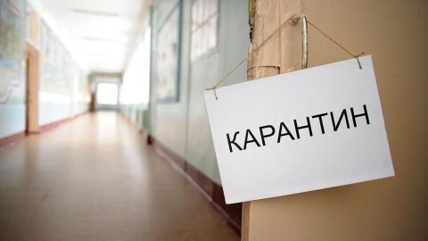 В школах Оренбуржья ввели карантин по ОРВИ