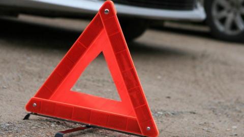 В дорожном происшествии у села Нижняя Павловка пострадали двое детей 