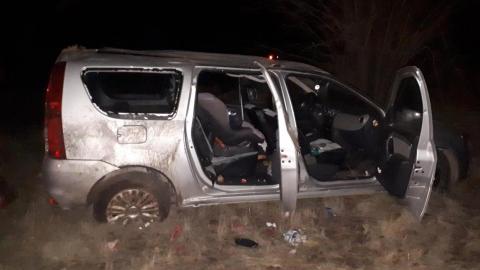 Автоледи на «Ларгусе» слетела в кювет, пострадали двое детей и мужчина