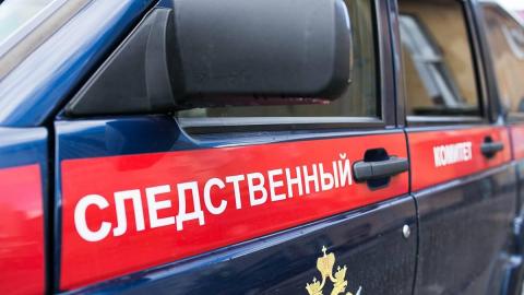 Двоих подростков из Медногорска подозревают в угоне «ГАЗели» 