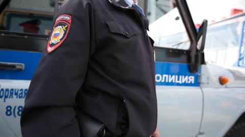 В Оренбурге полицейские проводят проверку по факту гибели косули