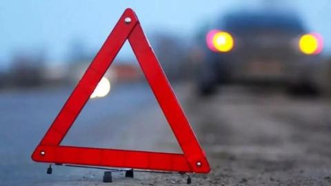 В Новоорском районе «Хонда» сбила трёх пешеходов, один из них погиб