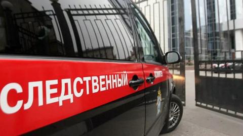 В Беляевском районе пожилая женщина убила своего зятя