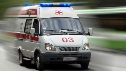 В Орске стаффордширский терьер напал на годовалую девочку