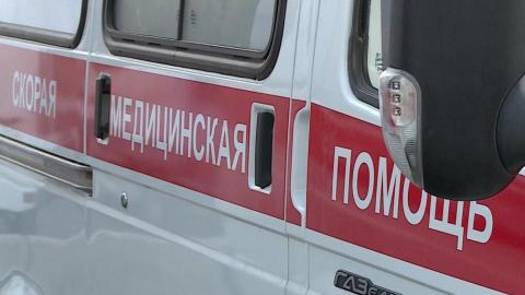 В Асекеево собака покусала мальчика и девочку