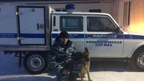 В Оренбурге служебная собака помогла найти вора