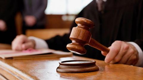 Хозяина покусавшей ребенка собаки заплатит штраф в 25 тыс рублей 