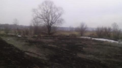 В Оренбуржье сначала года 15 раз загоралась сухая трава