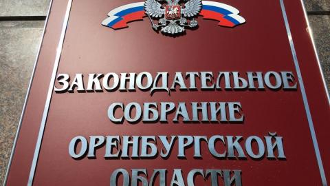 Татьяна Казармщикова возглавила фракцию либерал-демократов в Оренбургском Заксобе