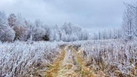 В Оренбуржье температура понизится на 10 градусов