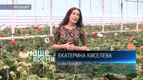 Посмотреть «Наше время» от 27/12/2016 Полная версия