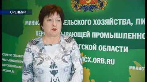 Посмотреть Несколько оренбургских теплиц получили субсидии от государства
