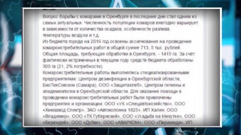 Посмотреть Из-за похолодания, прогнозов когда нашествие комаров пойдёт на спад, уже не берётся делать никто