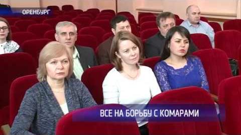 Посмотреть На борьбу с комарами в Оренбурге выделили в два раза больше средств