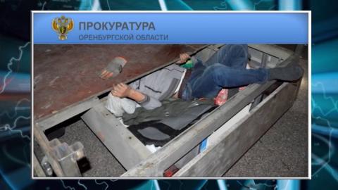Посмотреть 16 граждан Узбекистана пытались пересечь границу под видом лука