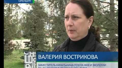 Посмотреть Травля комаров 