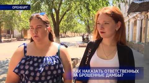 Посмотреть Опрос: как и кого нужно наказывать за бесхозные плотины и дамбы?