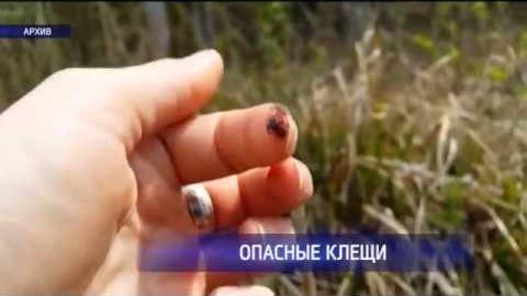 Посмотреть В Оренбургской области выявлены случаи заражения энцефалитом