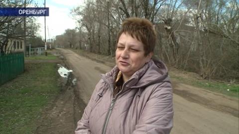 Посмотреть Травля началась: посёлок Бёрды обработали от комаров