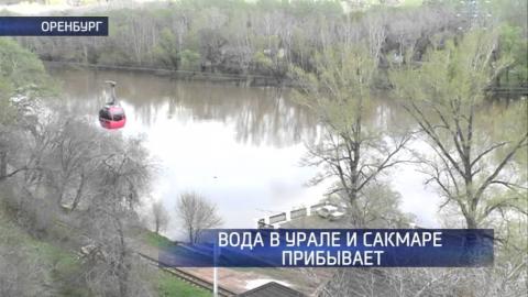 Посмотреть Уровень воды в Урале и Сакмаре все еще прибывает