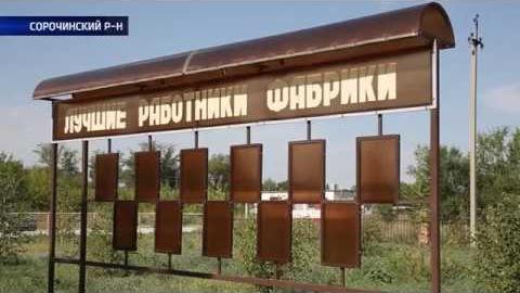 Посмотреть Как решать проблемы птицефабрики «Родина» и может ли забастовка
