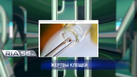 Посмотреть В Оренбуржье более 5 тысяч человек пострадали от укусов клещей