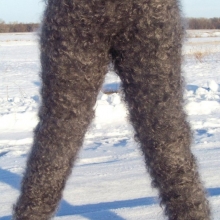 Оренбургские пуховые  лосины