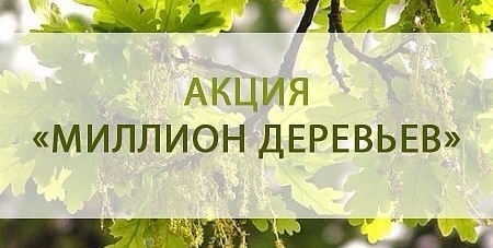 7 октября в Оренбурге стартует акция «Миллион деревьев»