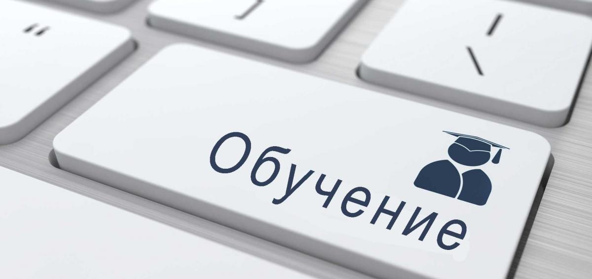 Из-за карантина оренбургские школьники обучаются дистанционно Из-за карантина оренбургские школьники обучаются дистанционно