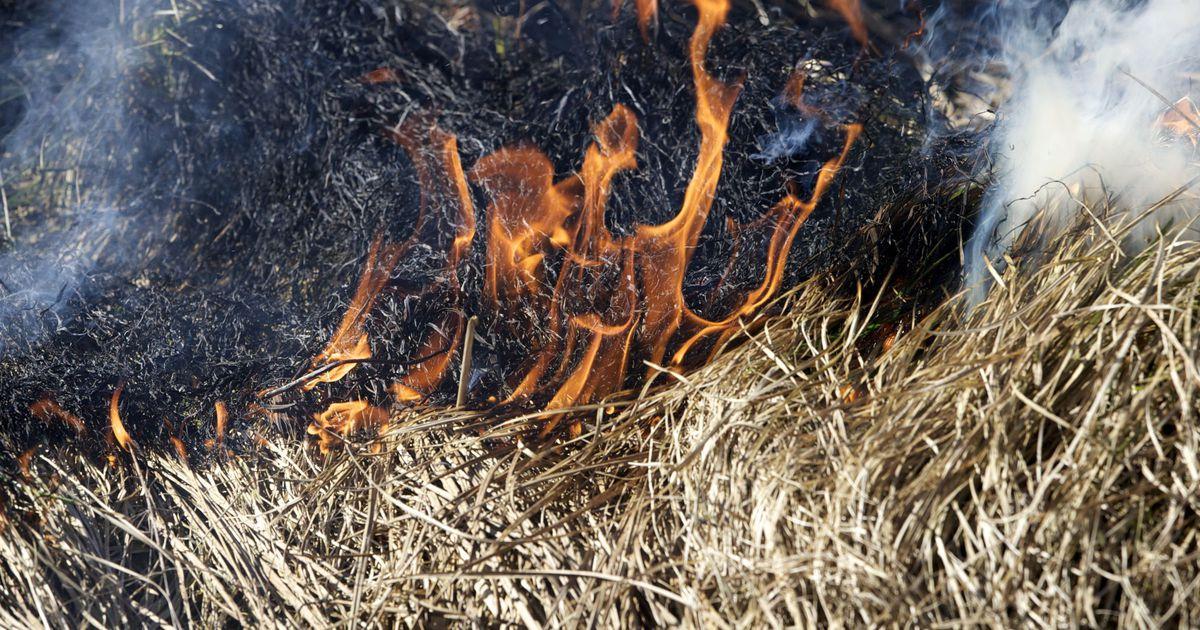 В Оренбуржье за сутки зарегистрировано почти 30 степных пожаров В Оренбуржье за сутки зарегистрировано почти 30 степных пожаров
