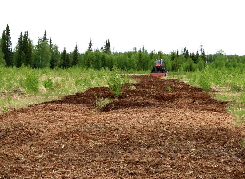 Россельхознадзор оштрафовал на 400 тыс. рублей газовую компанию Россельхознадзор оштрафовал на 400 тыс. рублей газовую компанию